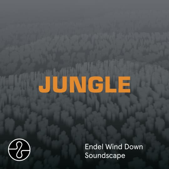 The Blaze x Endel - JUNGLE